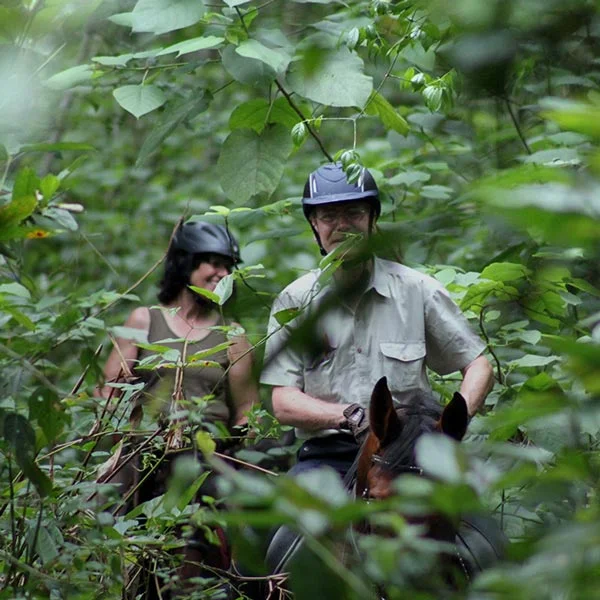 Jungle Horseback Experiences