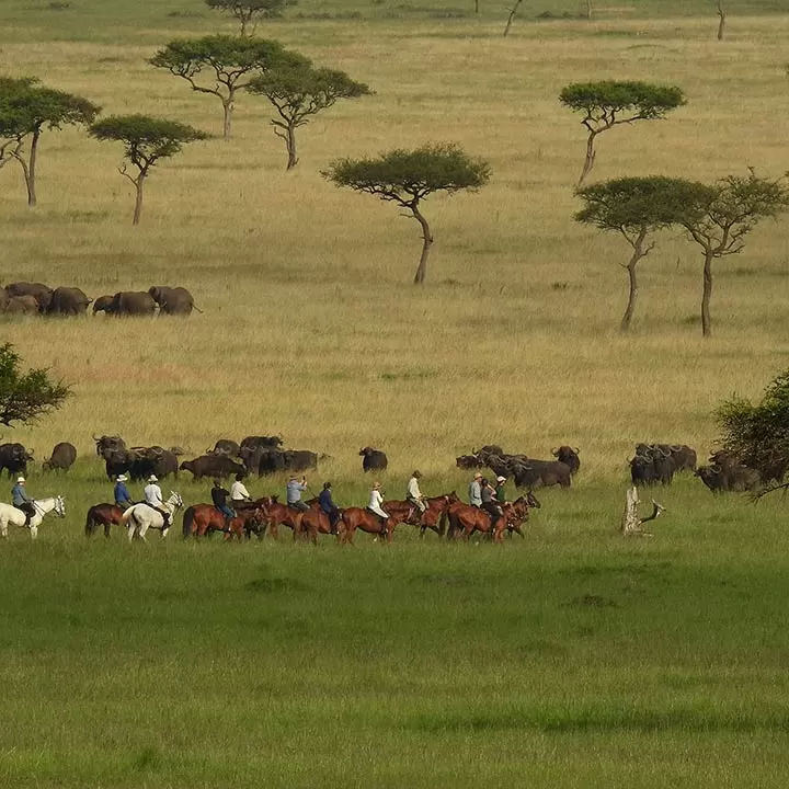 Experiencias a Caballo en la Sabana