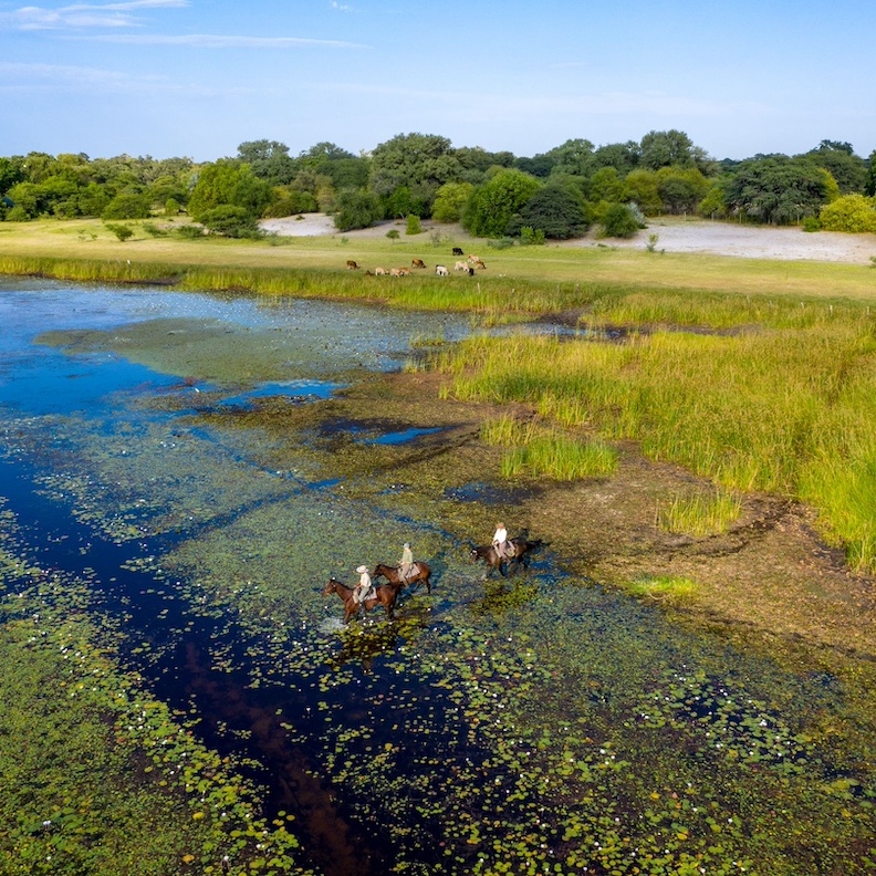 Delta Horseback Experiences