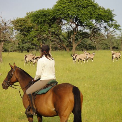 Okavango and Kalahari