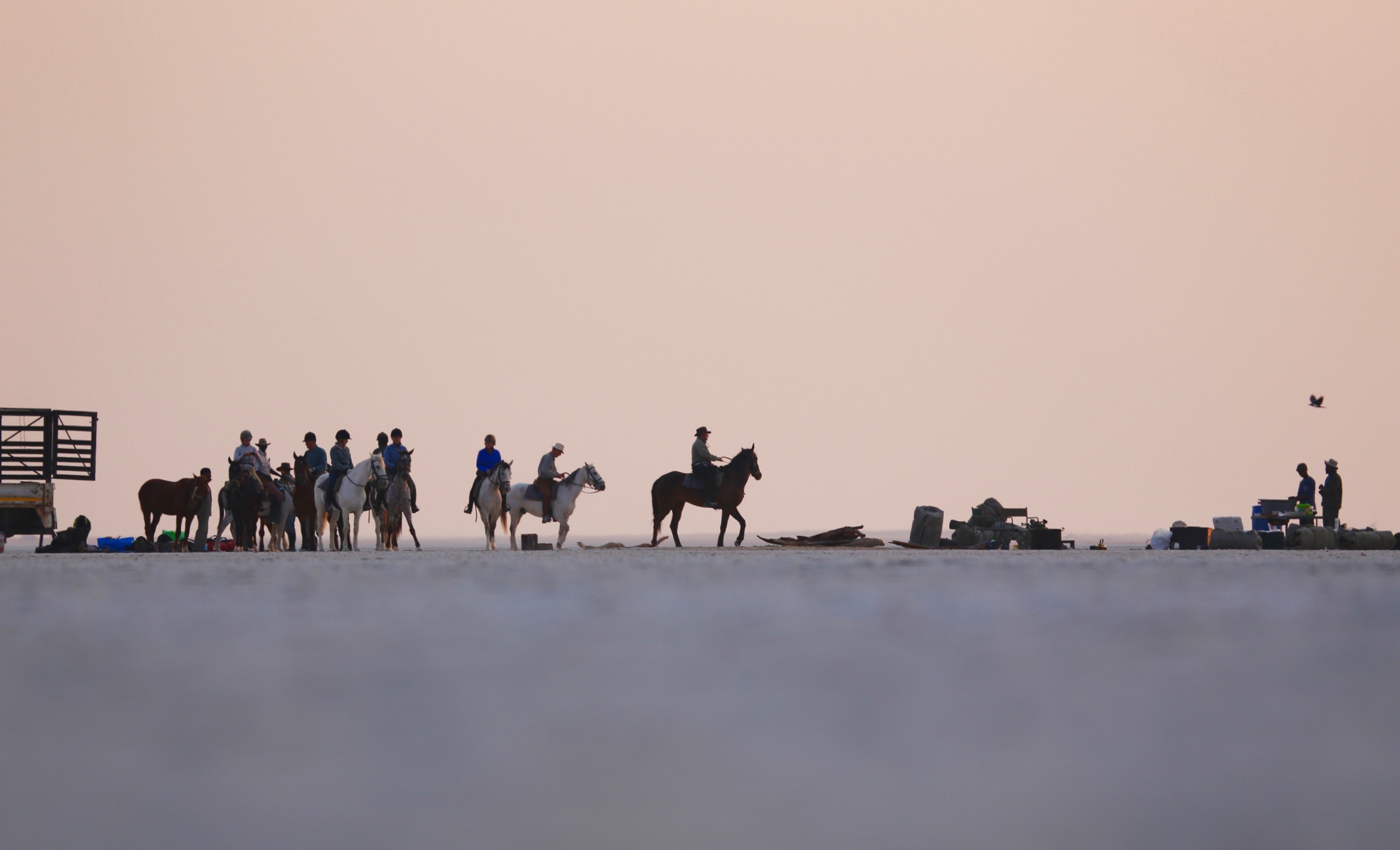 Okavango and Kalahari