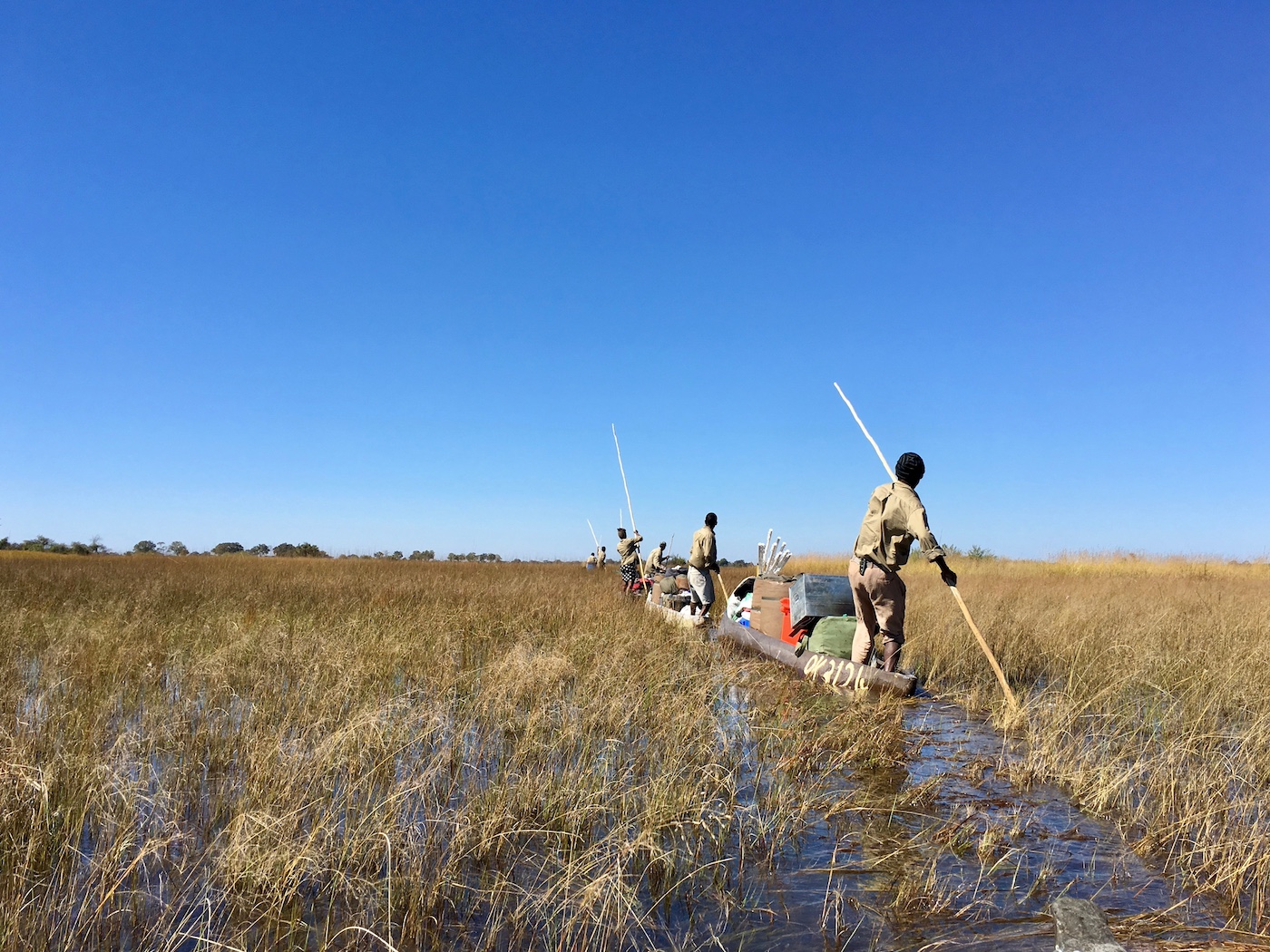 Okavango and Kalahari