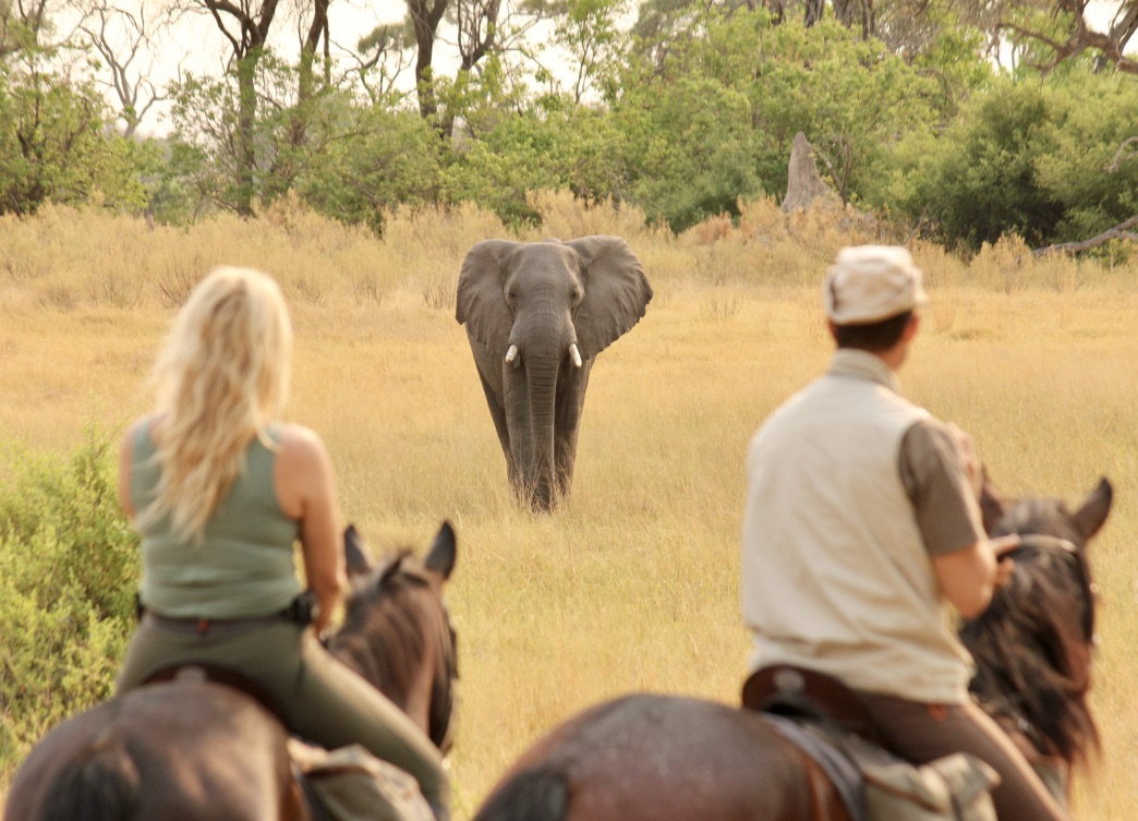 Okavango and Kalahari