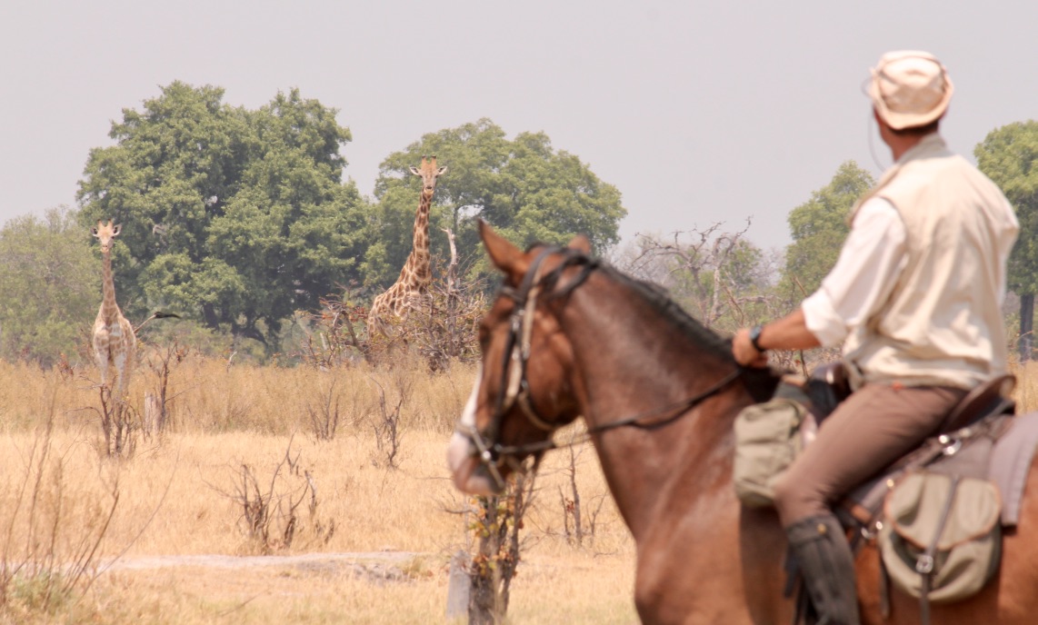 Okavango and Kalahari