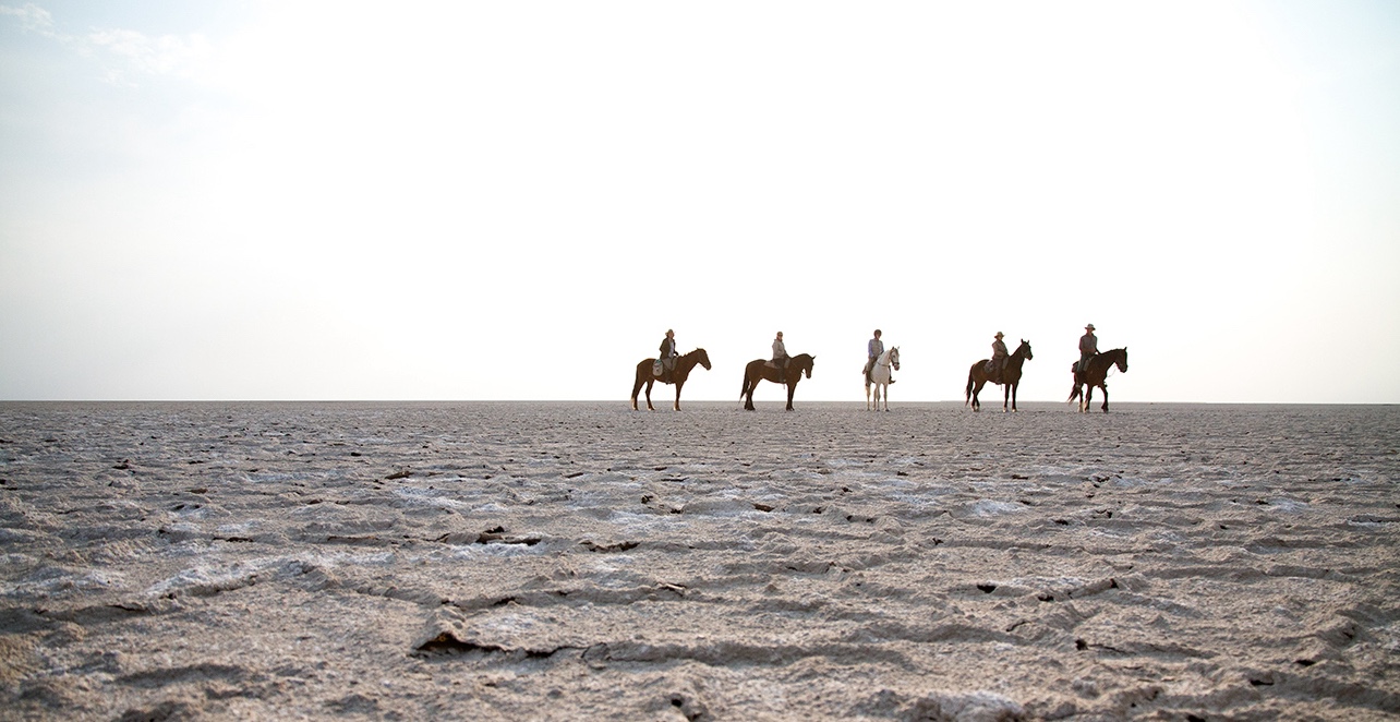 Okavango and Kalahari