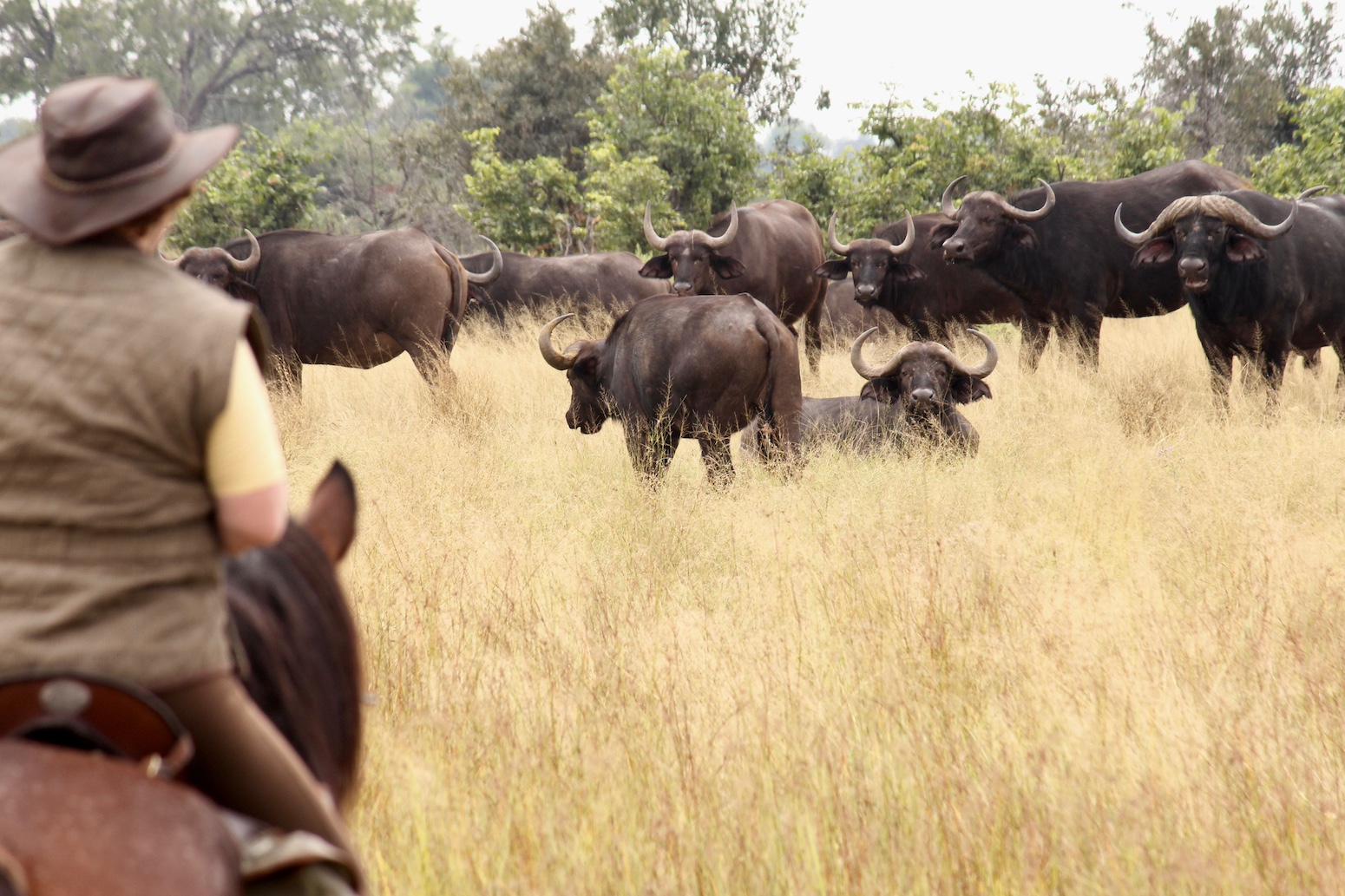 Okavango and Kalahari