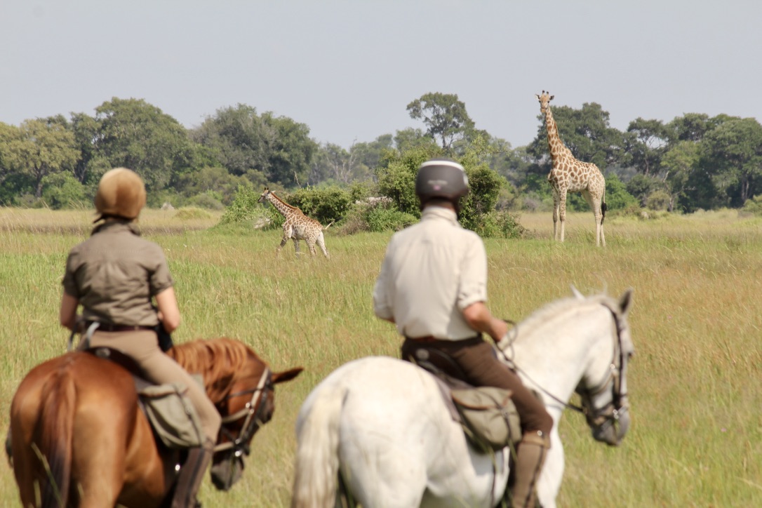 Okavango and Kalahari