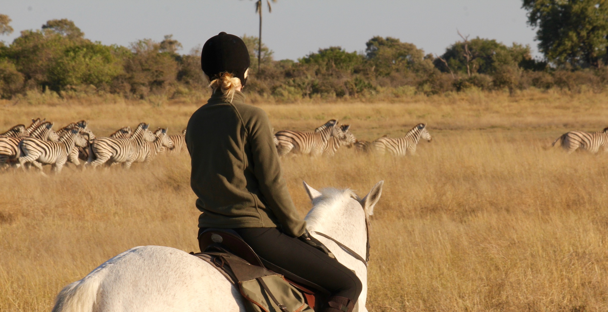 Okavango and Kalahari