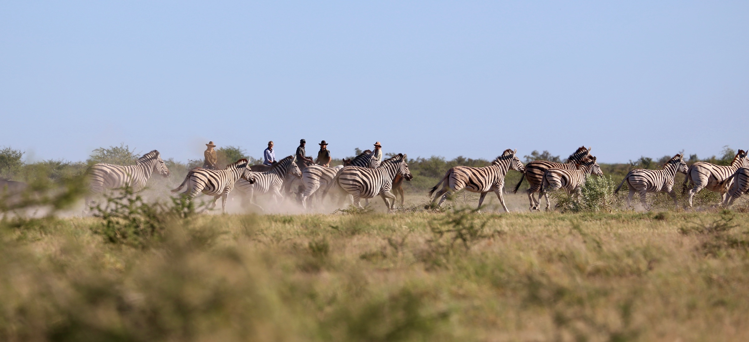 Okavango and Kalahari