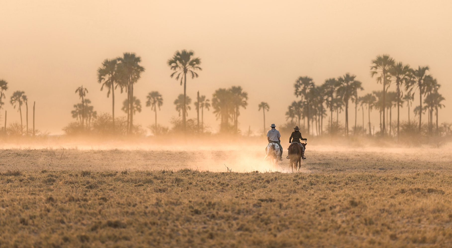 Okavango and Kalahari