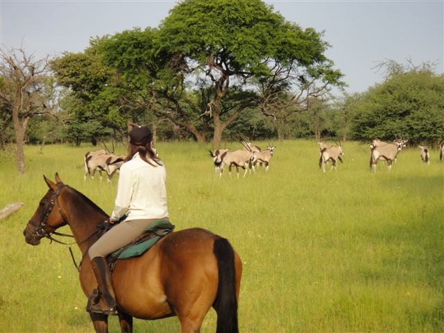 Okavango and Kalahari