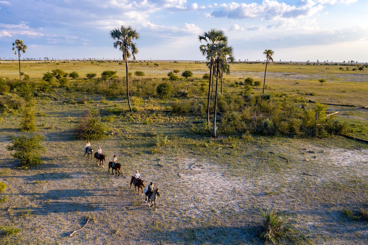 Okavango and Kalahari