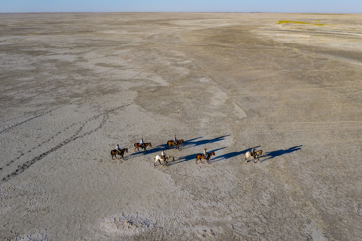 Okavango and Kalahari