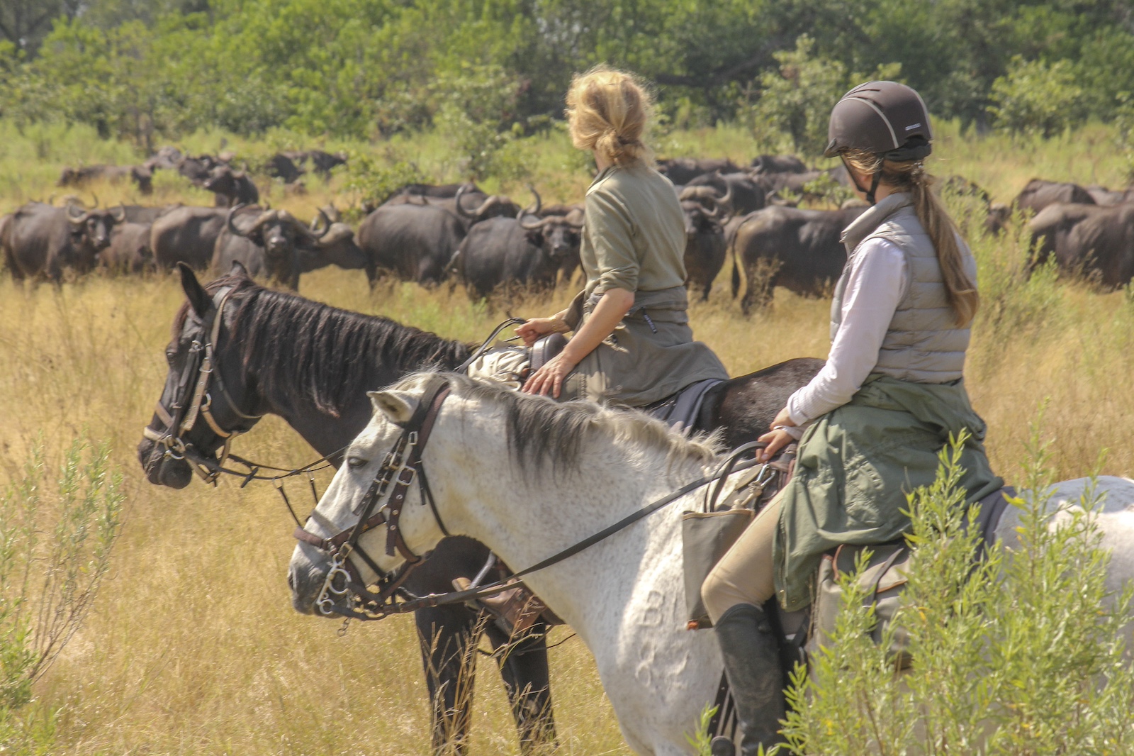 Okavango and Kalahari