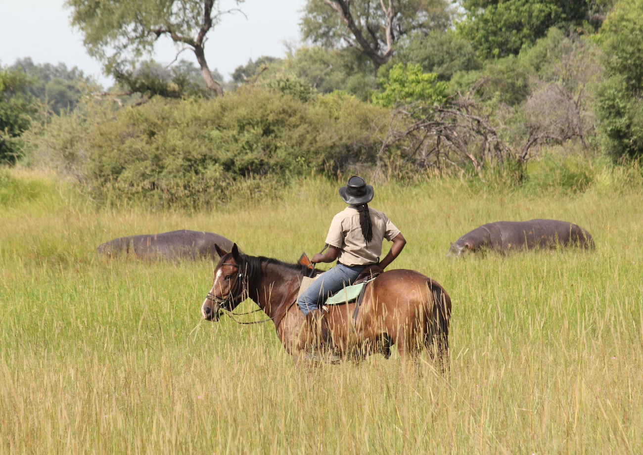 Okavango and Kalahari