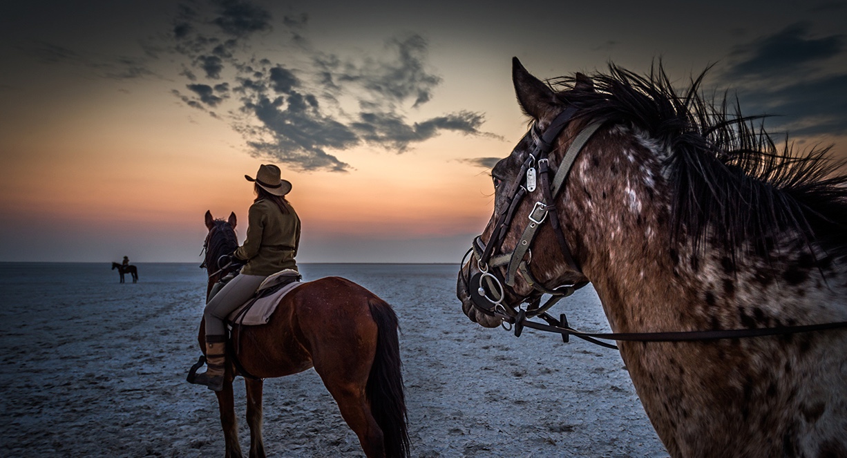 Okavango and Kalahari