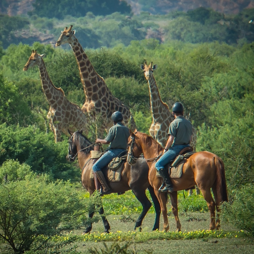 The Ancient Botswana