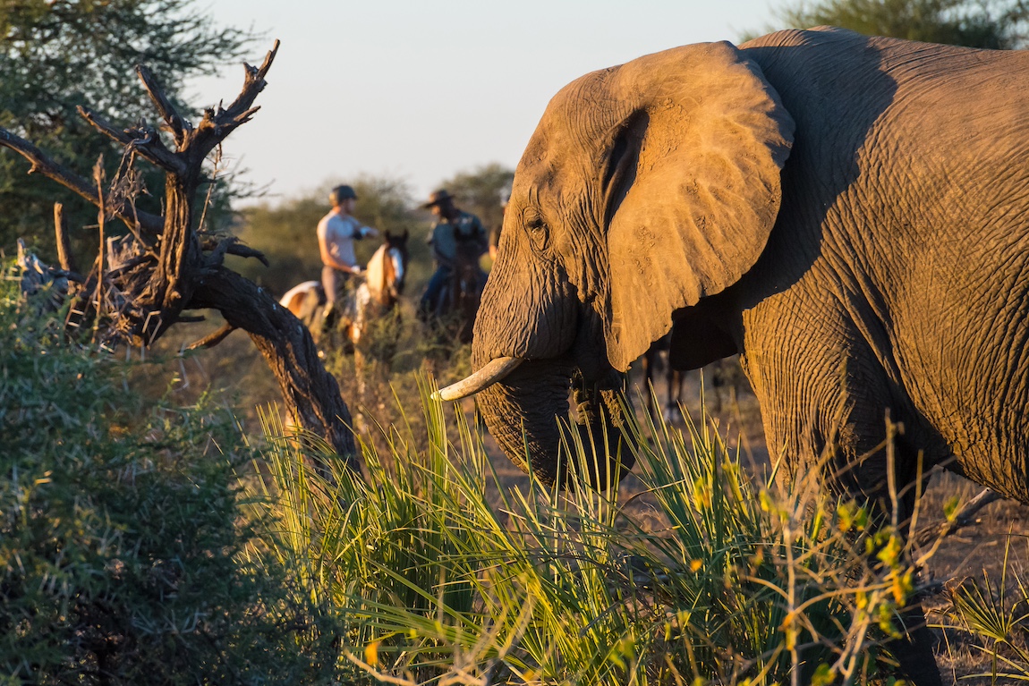 The Ancient Botswana