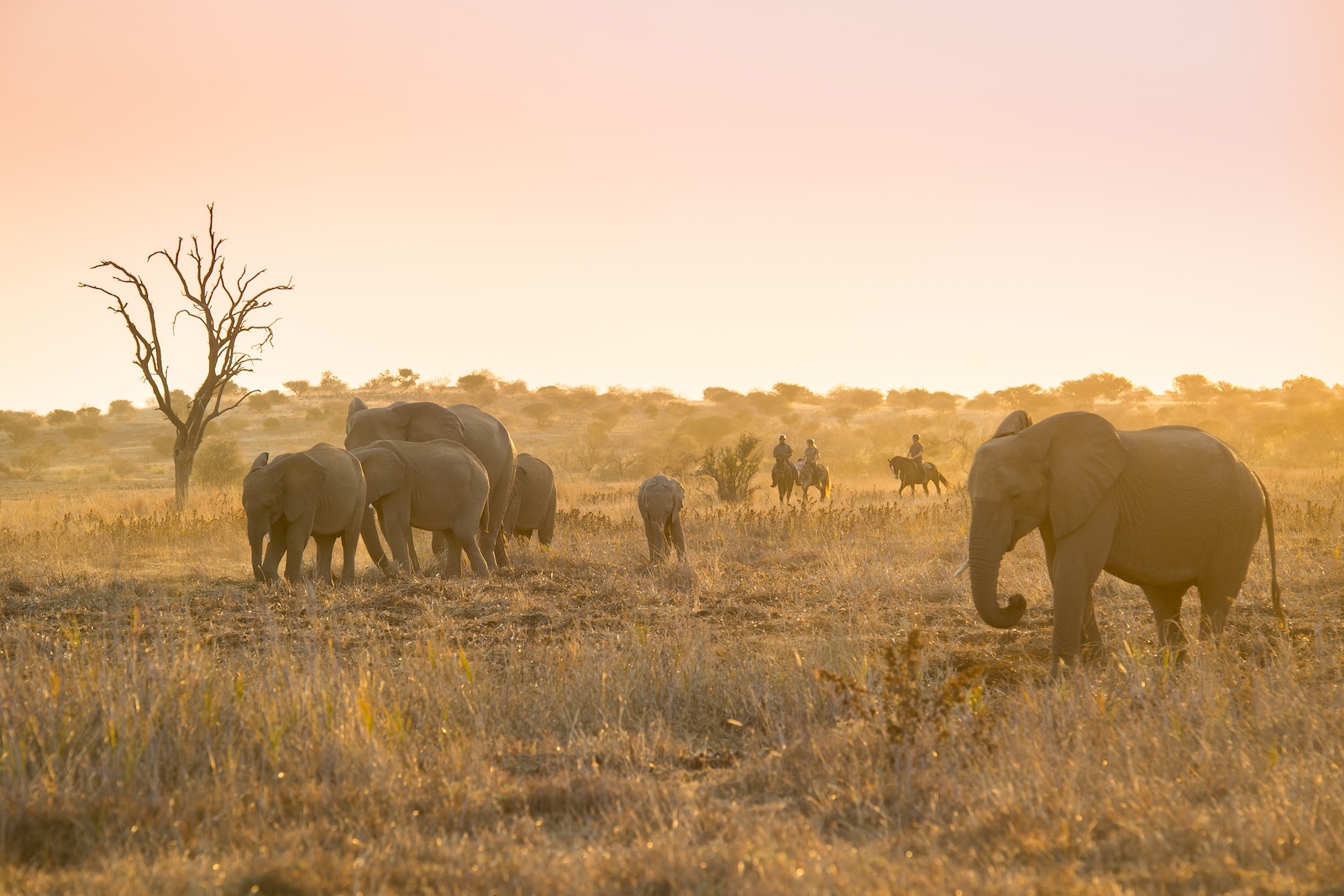 The Ancient Botswana