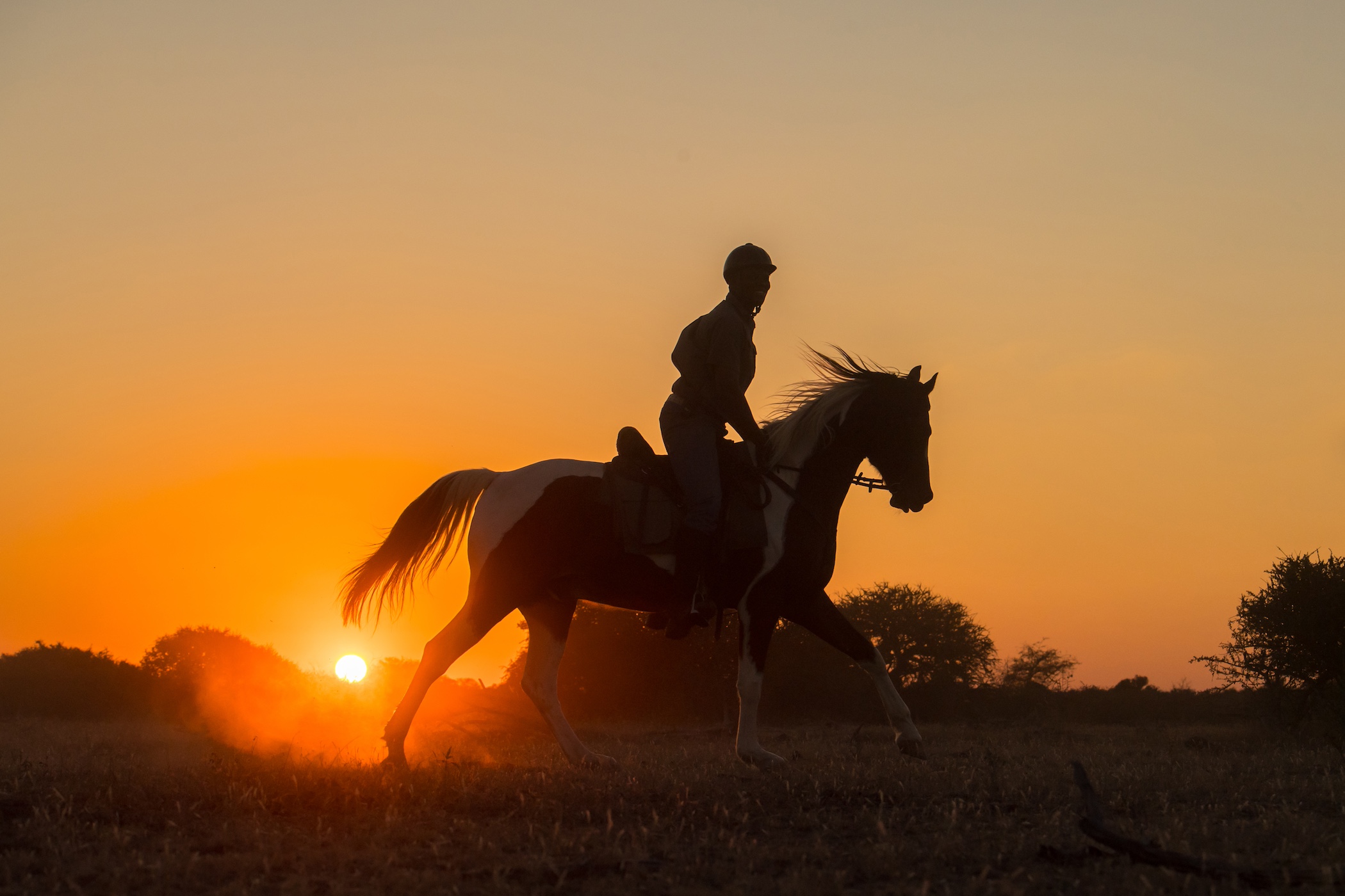 The Ancient Botswana