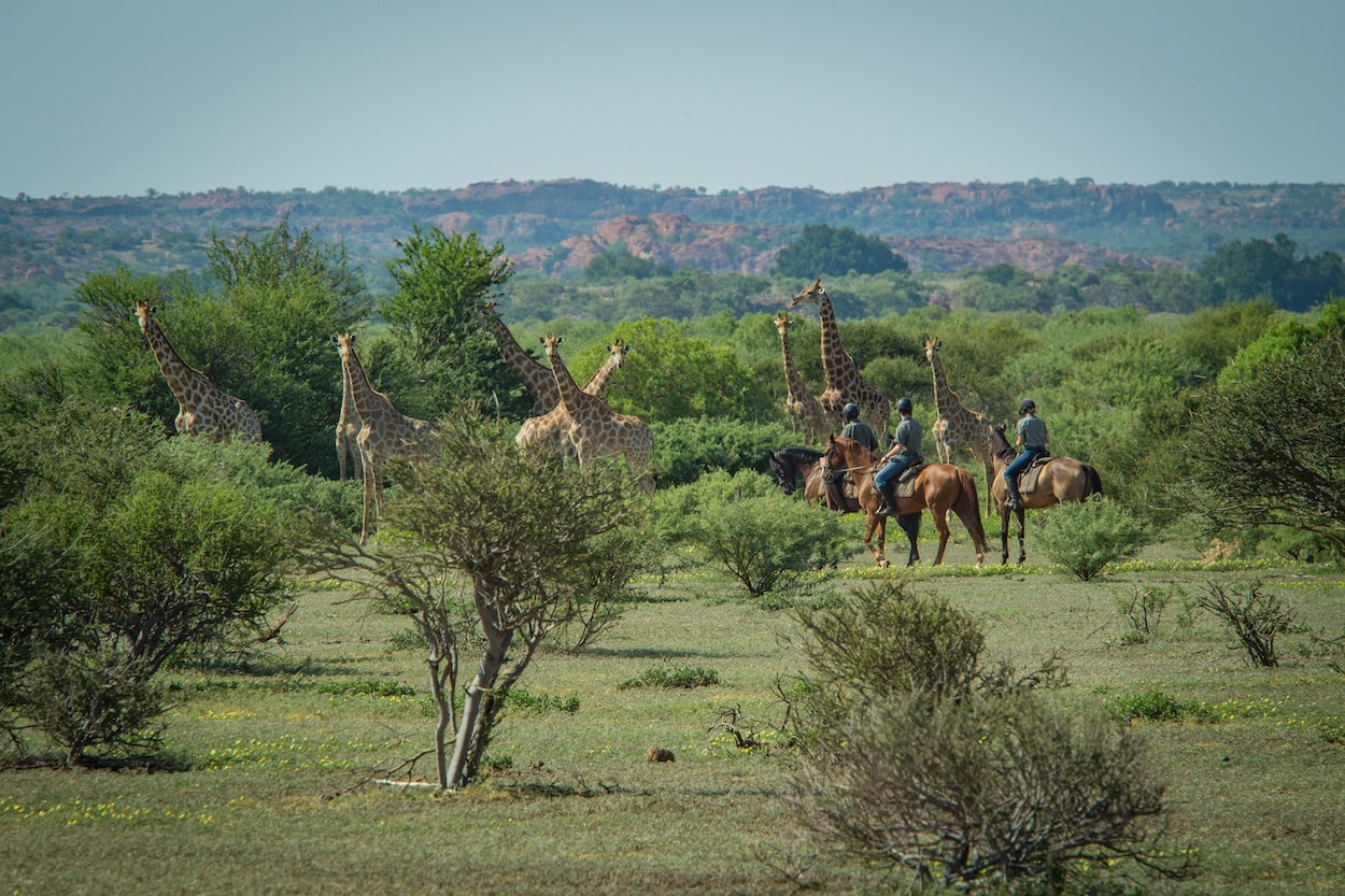 The Ancient Botswana