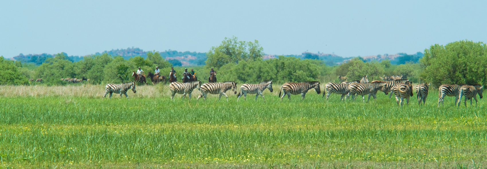 The Ancient Botswana