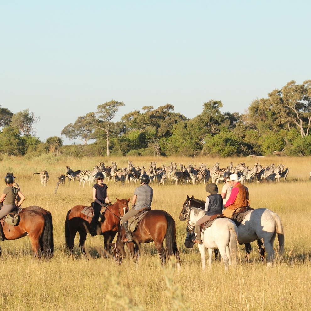 Kalahari and Okavango