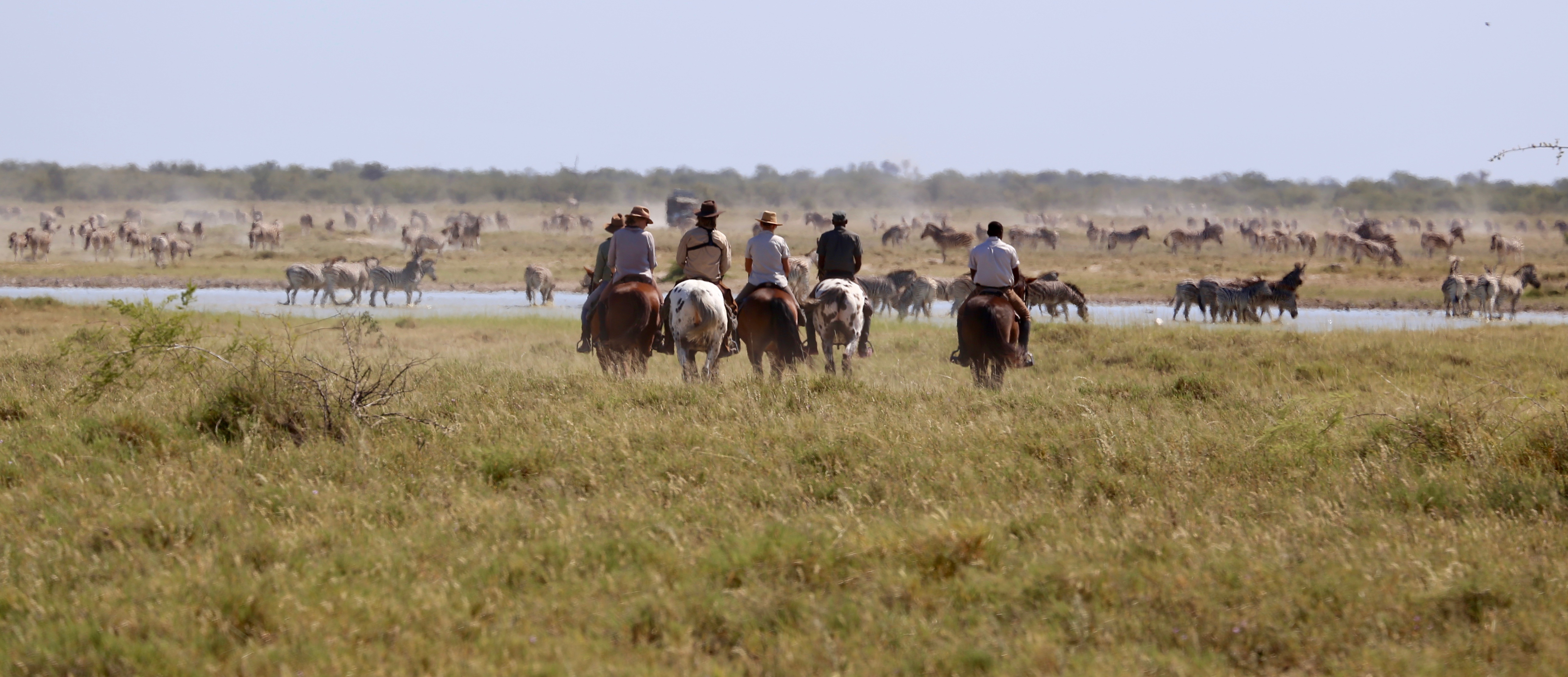 Full Experience Okavango & Kalahari