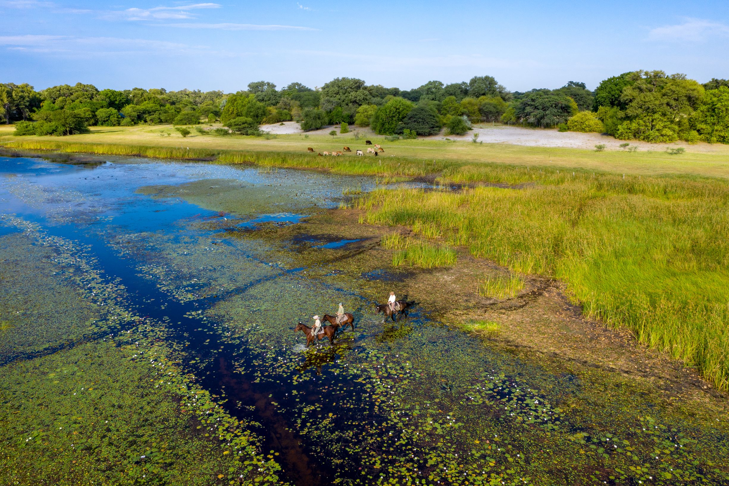 Full Experience Okavango & Kalahari