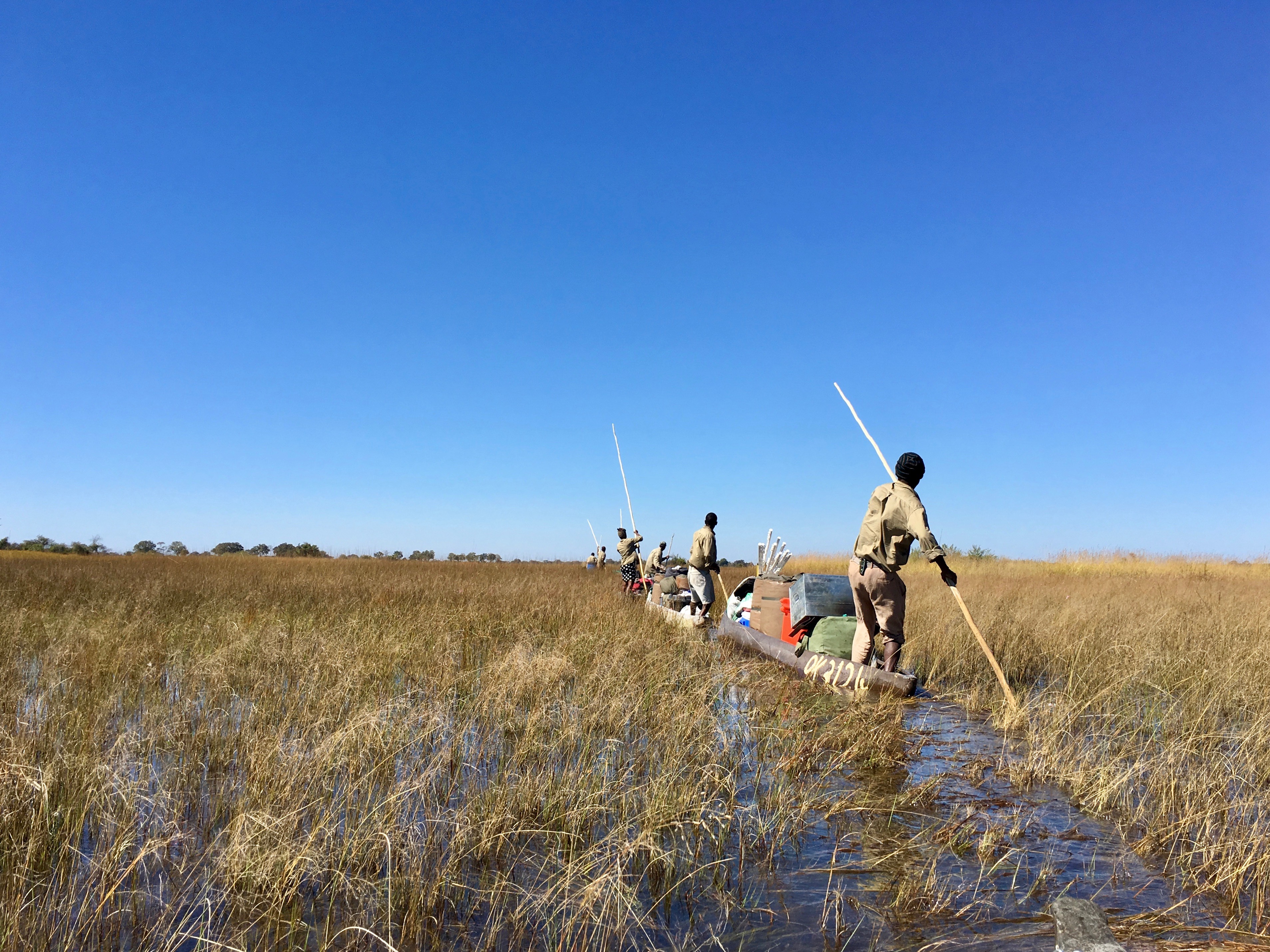 Full Experience Okavango & Kalahari