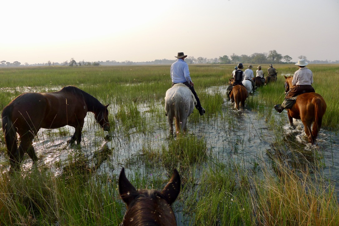 Full Experience Okavango & Kalahari