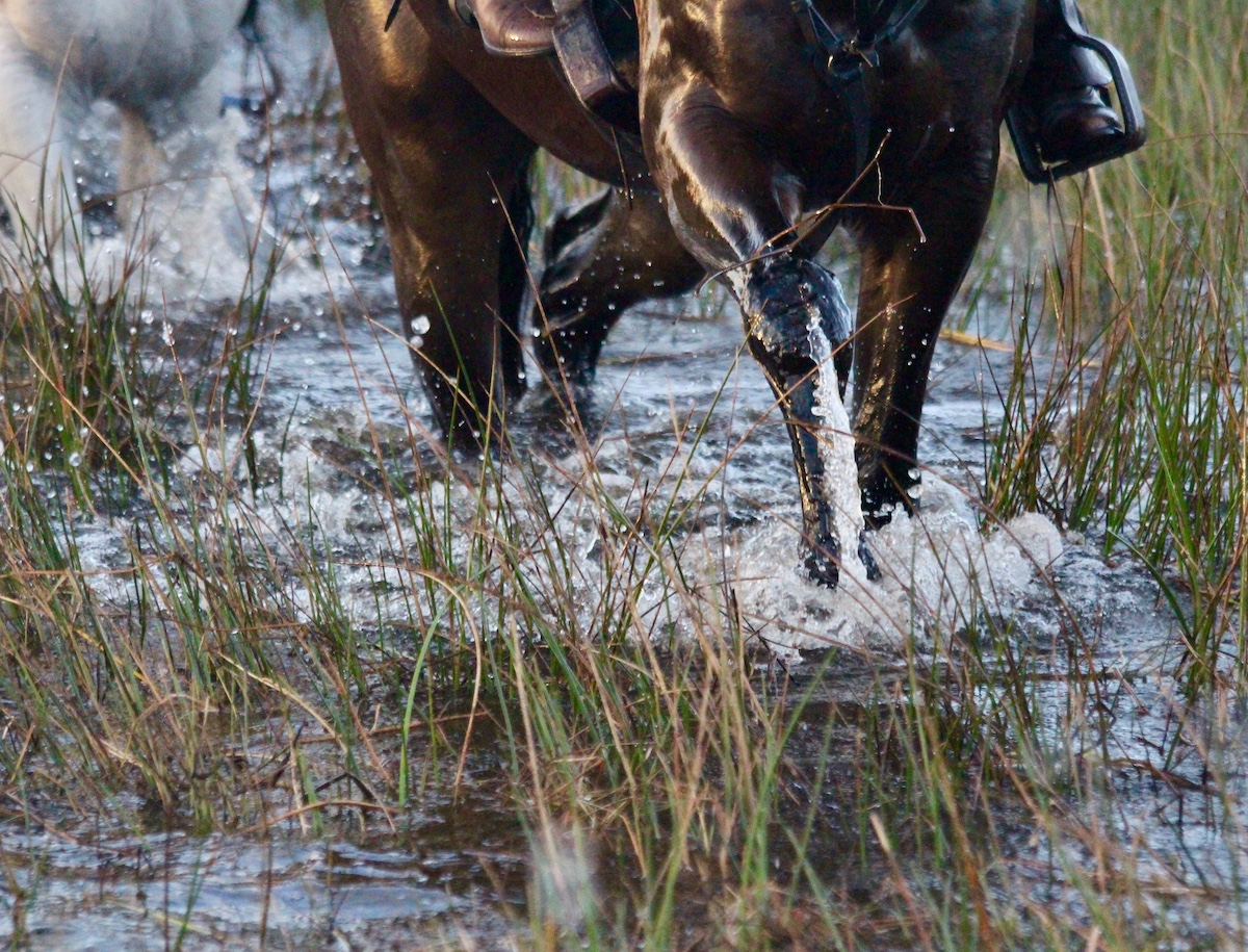 Kalahari and Okavango