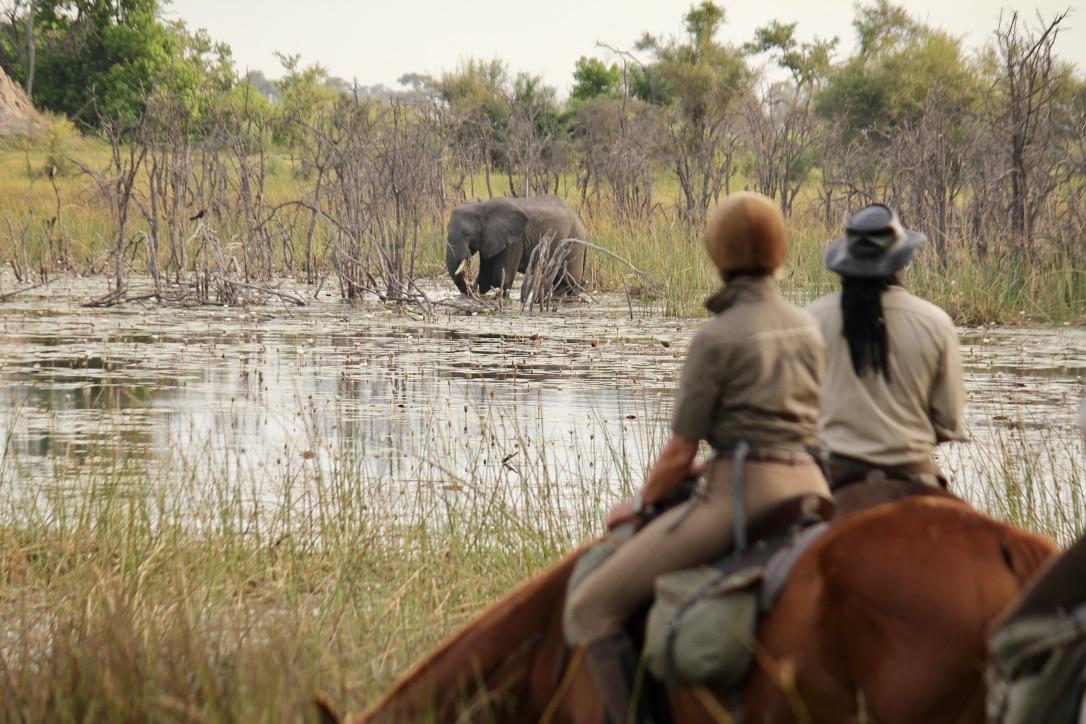 Kalahari and Okavango