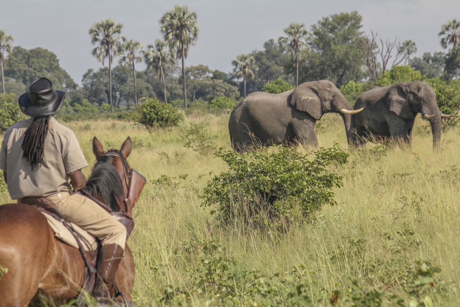 Kalahari and Okavango