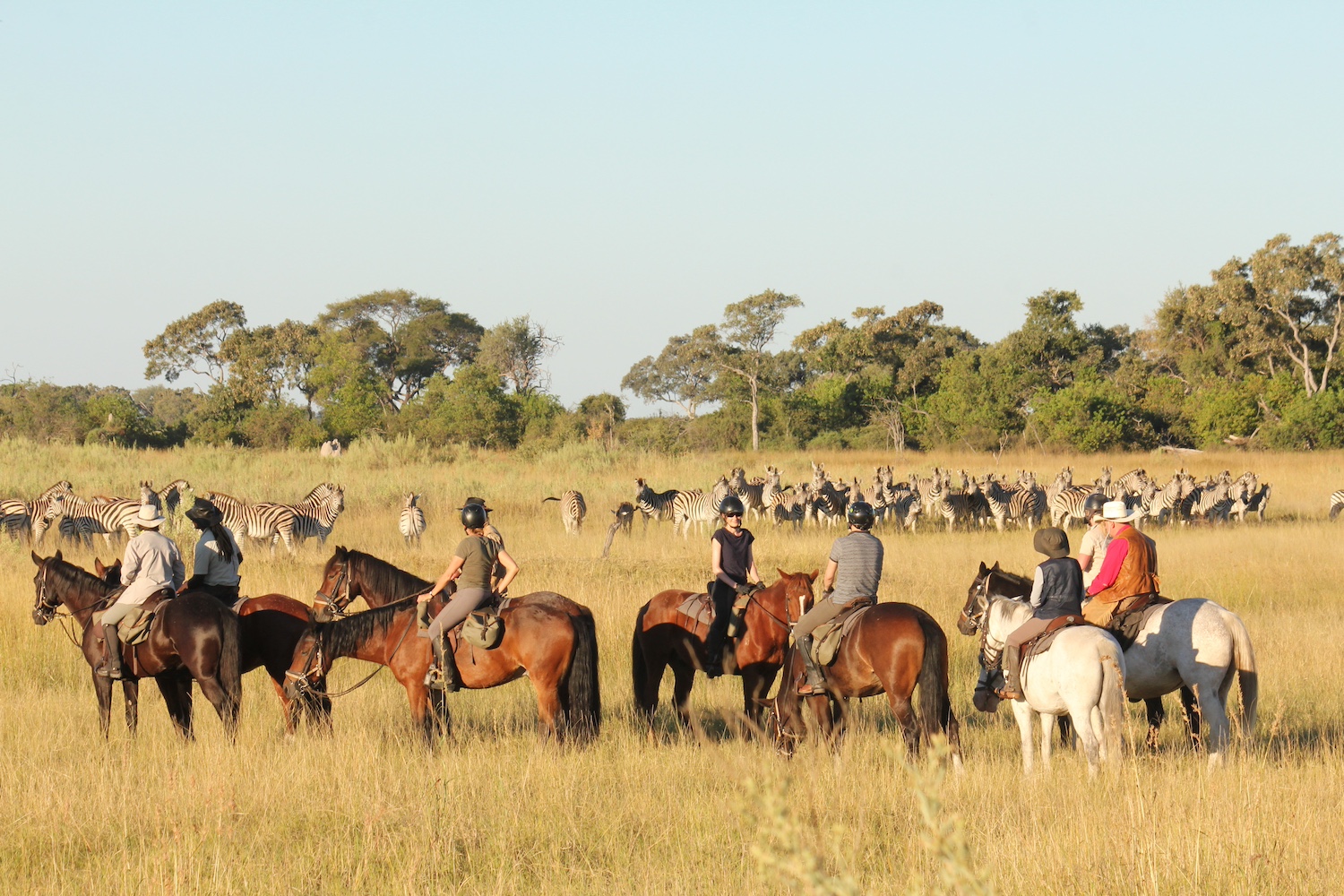 Kalahari and Okavango