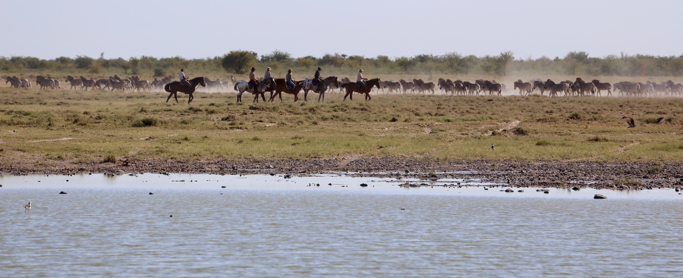 Kalahari and Okavango