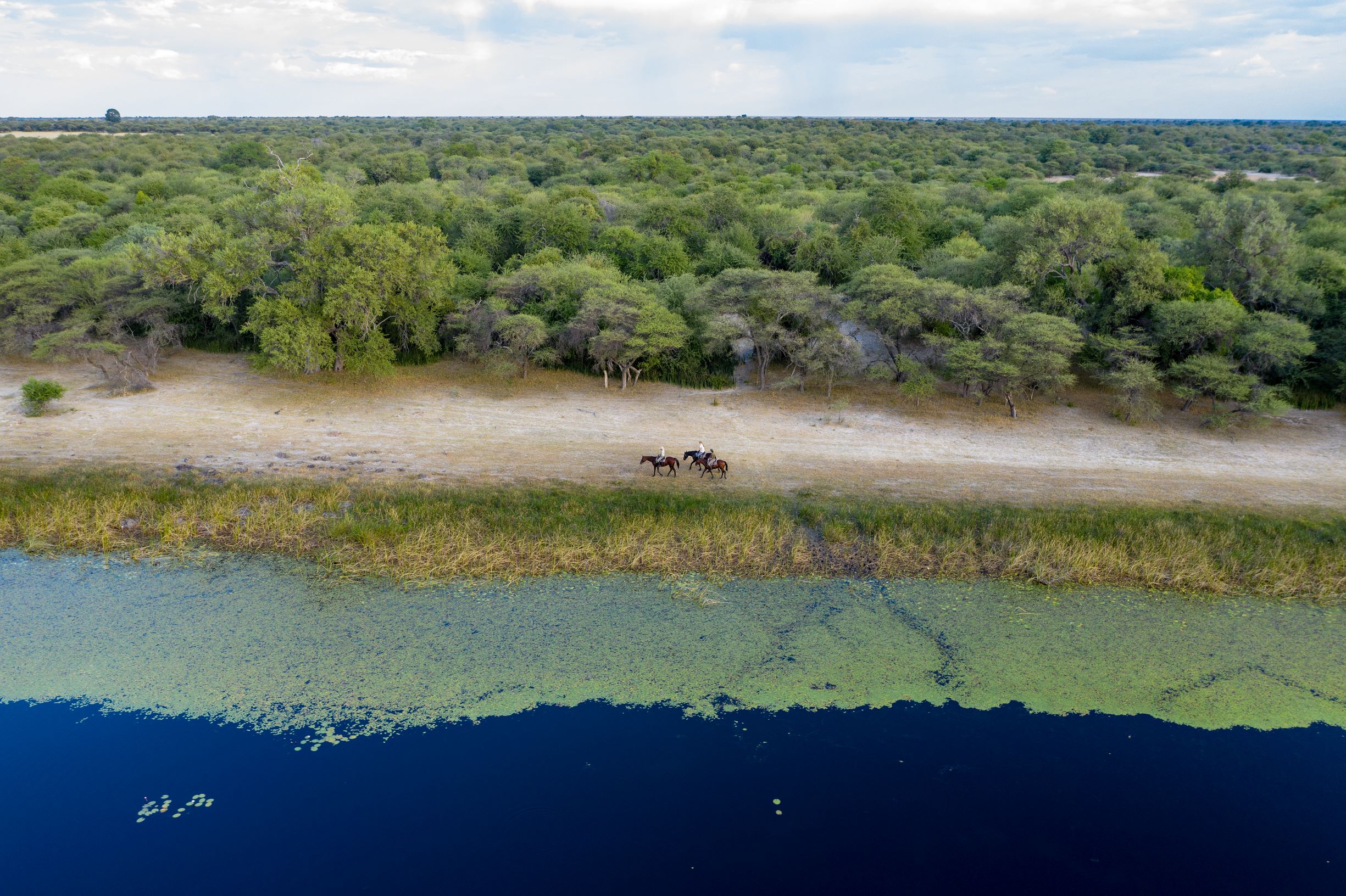 Full Experience Okavango & Kalahari