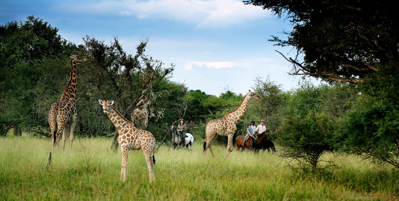 Kalahari and Okavango