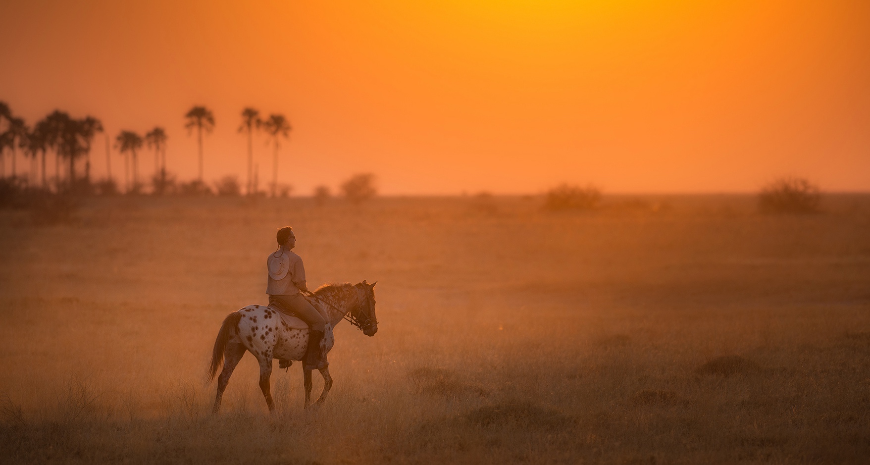 Kalahari and Okavango