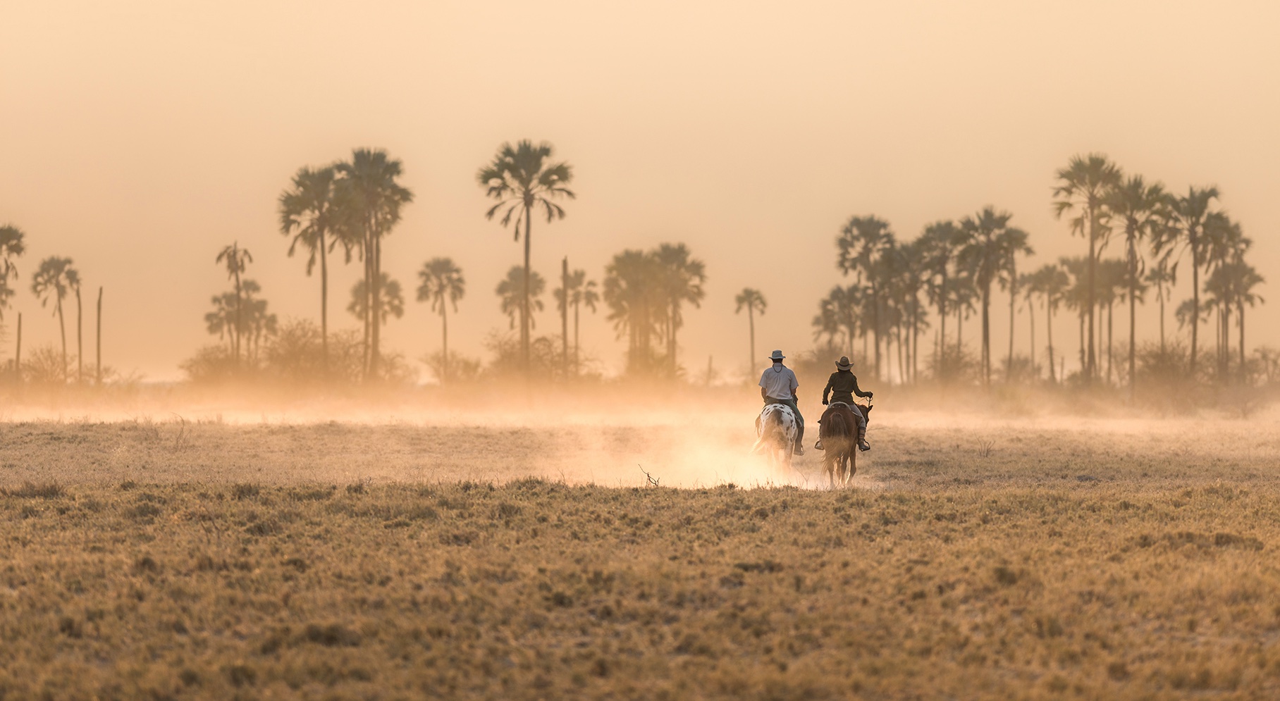 Full Experience Okavango & Kalahari