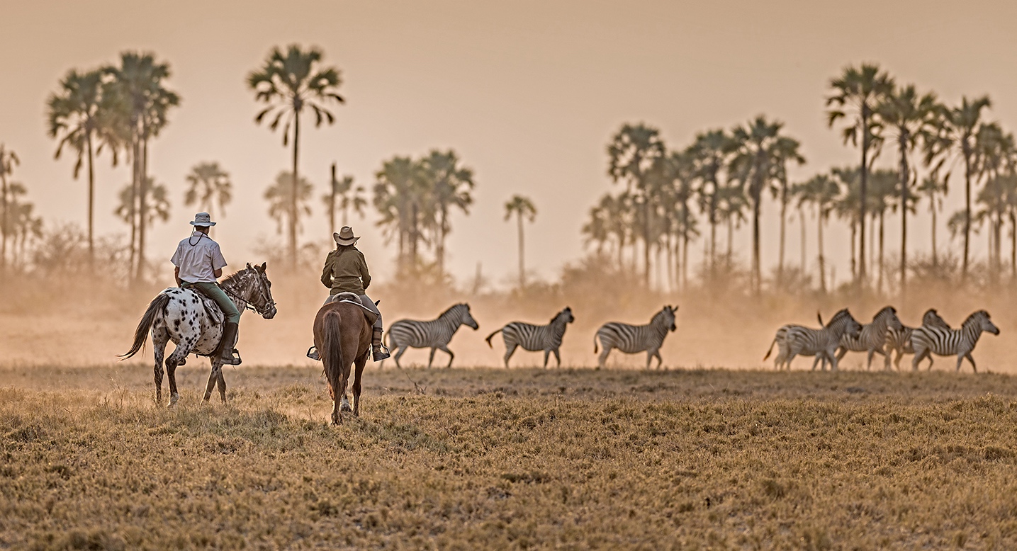 Kalahari and Okavango