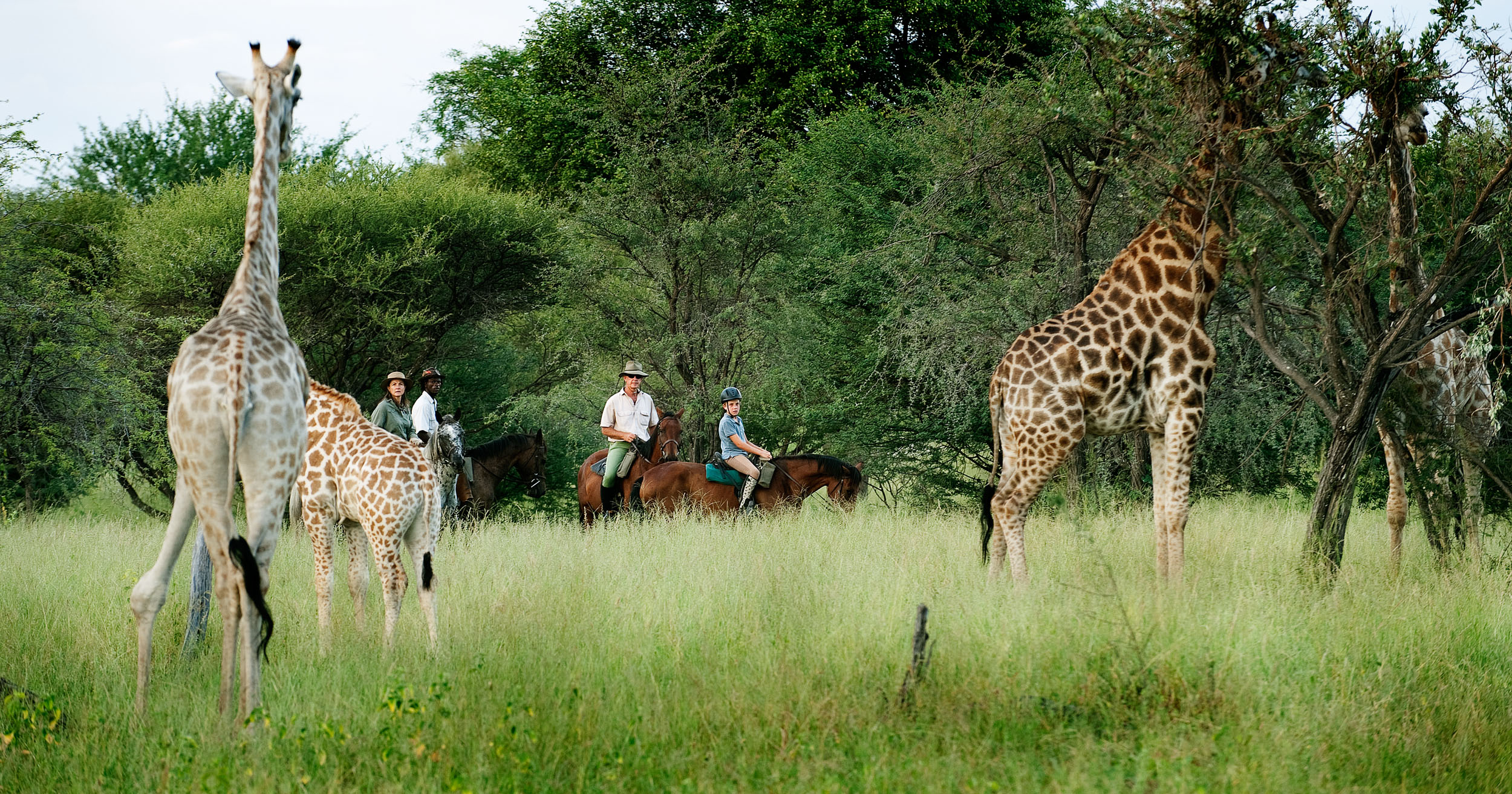 Full Experience Okavango & Kalahari