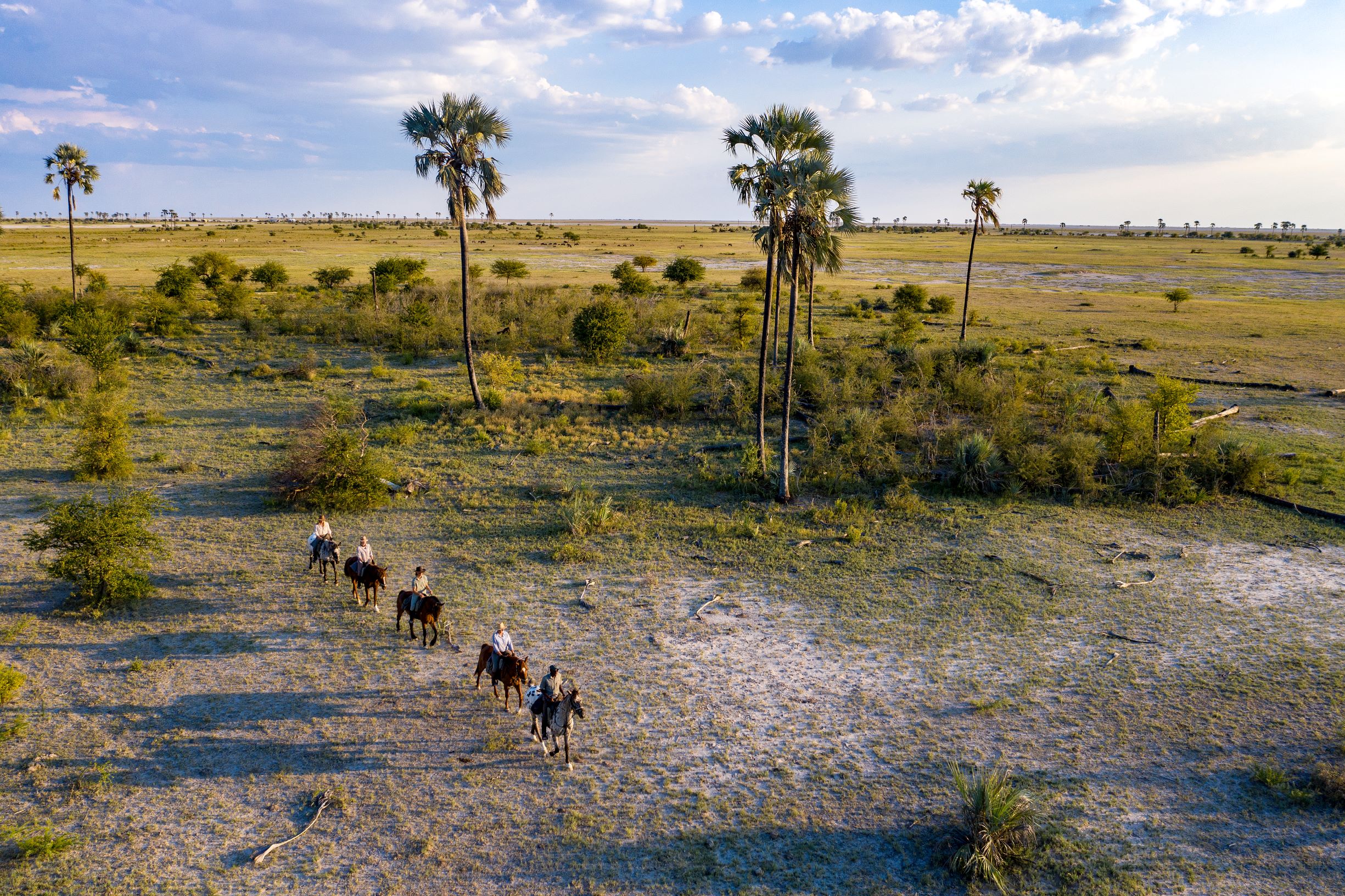 Full Experience Okavango & Kalahari