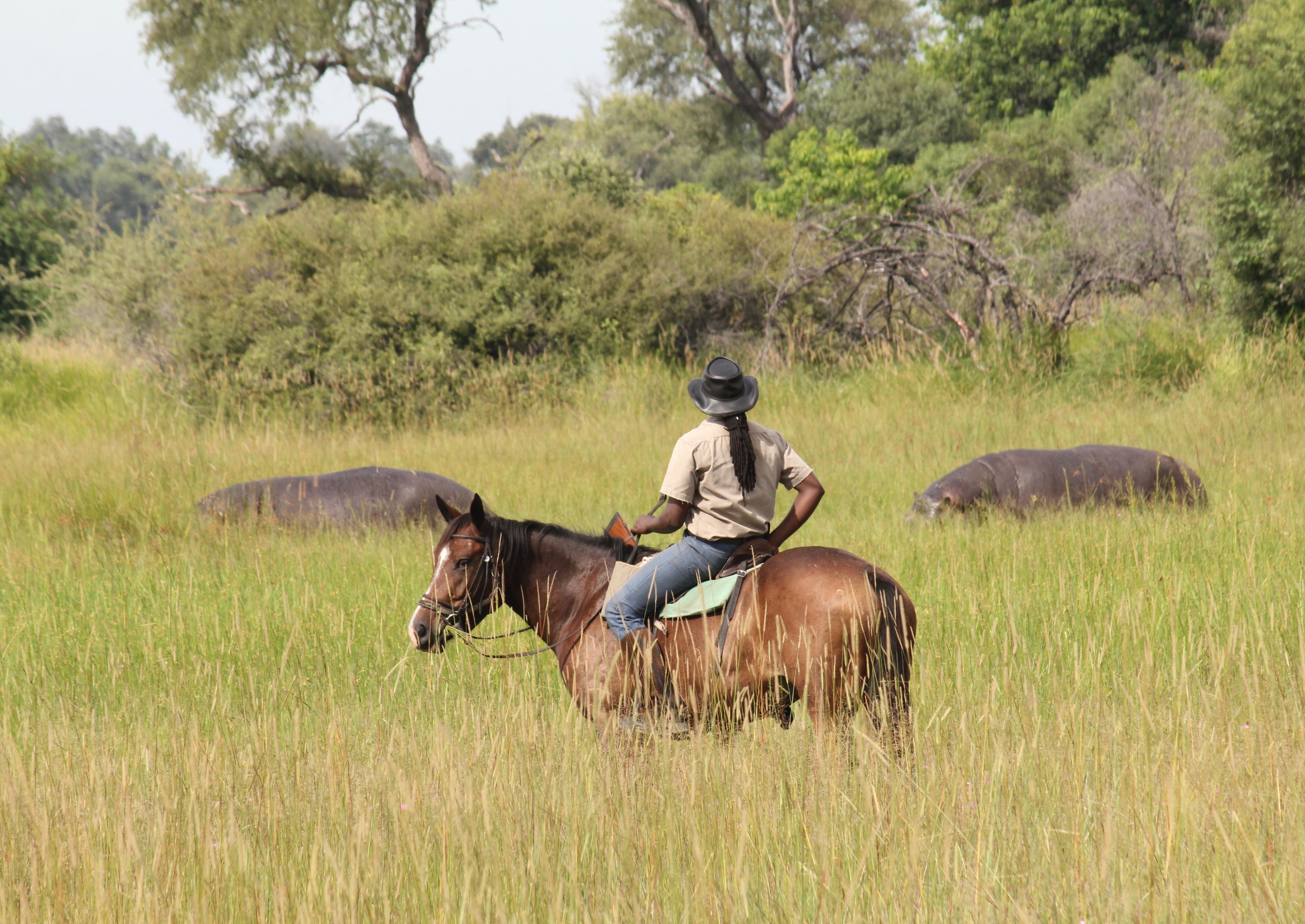 Full Experience Okavango & Kalahari