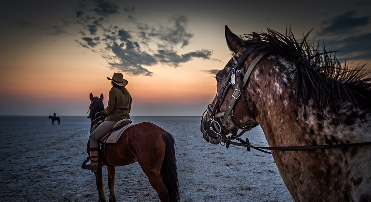 Full Experience Okavango & Kalahari