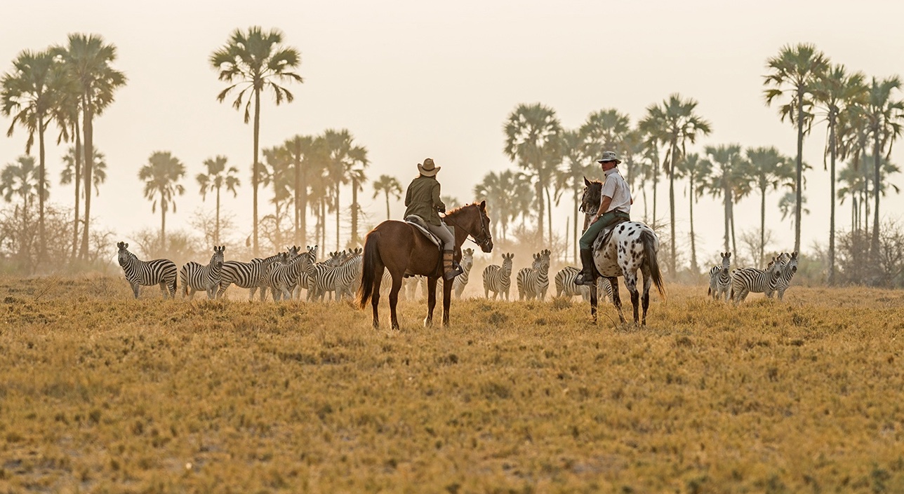 Kalahari