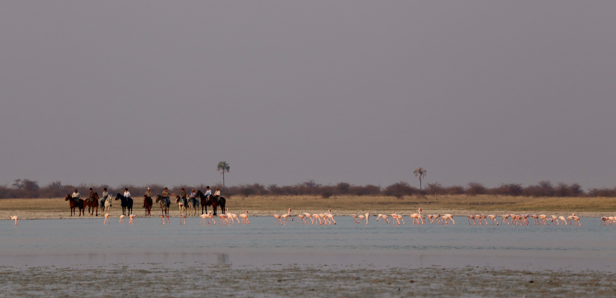 Kalahari