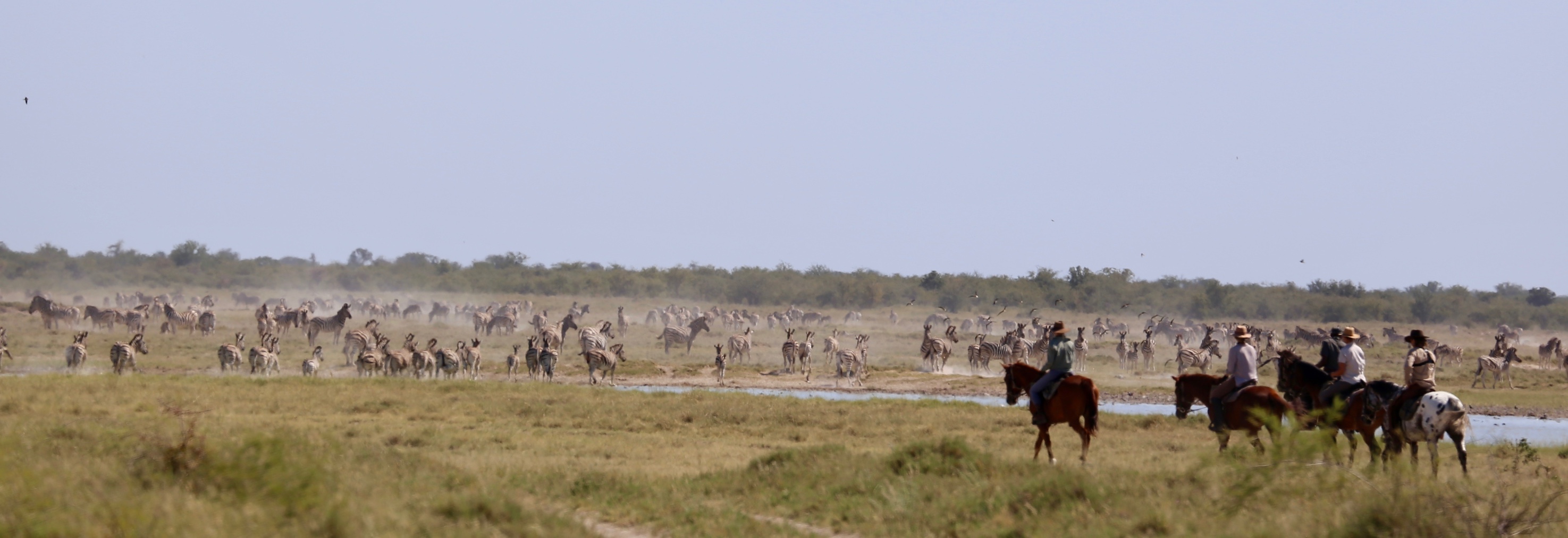 Kalahari