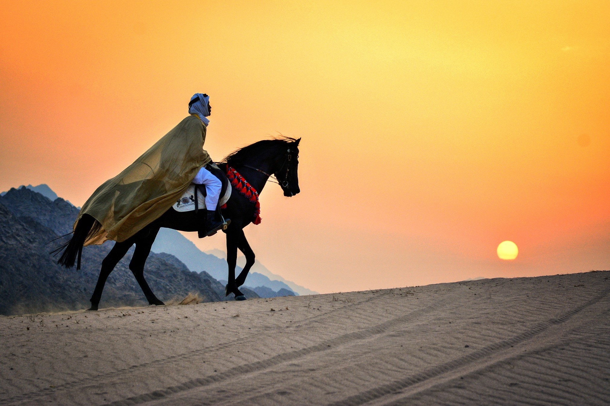 Phantoms of the Desert