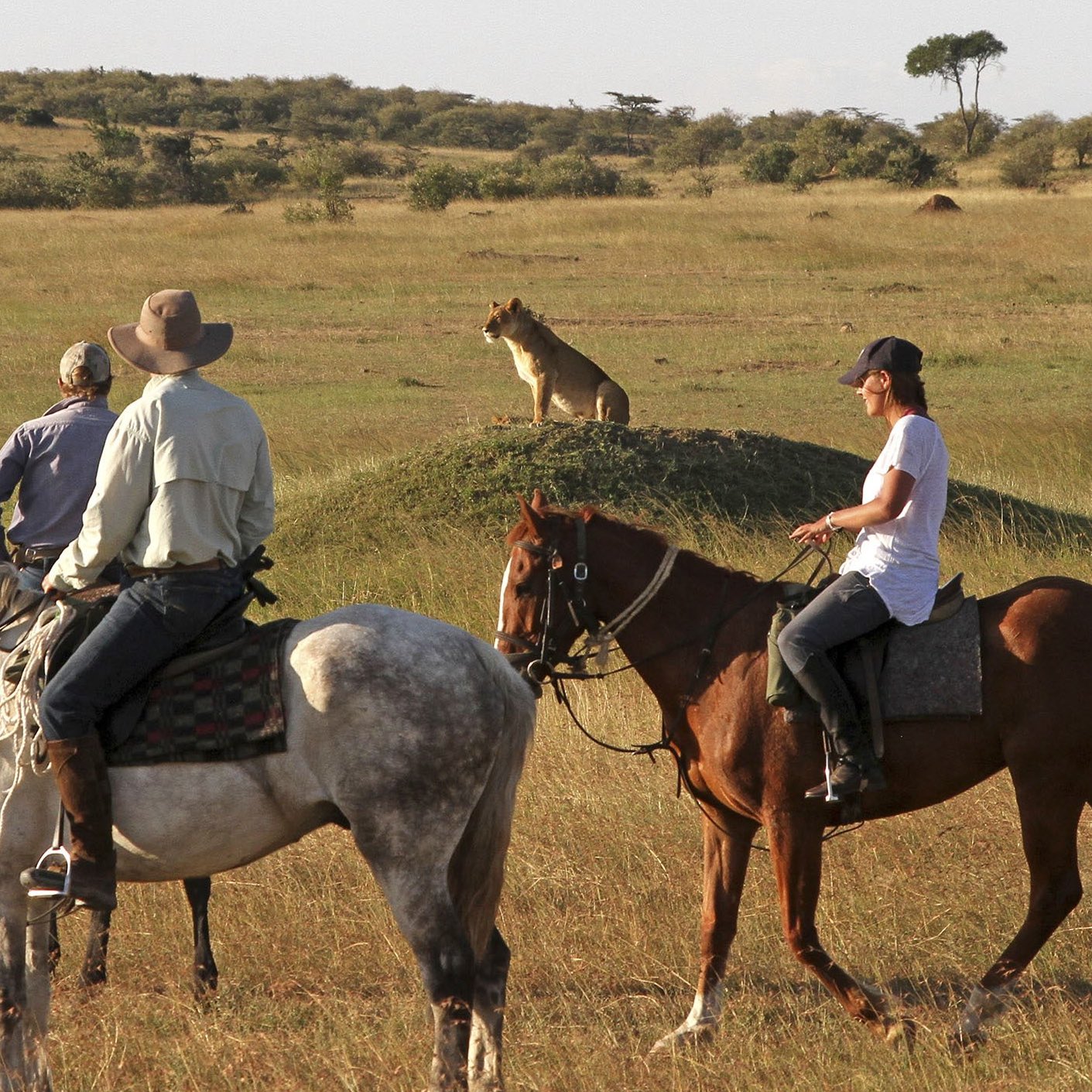 Amboseli